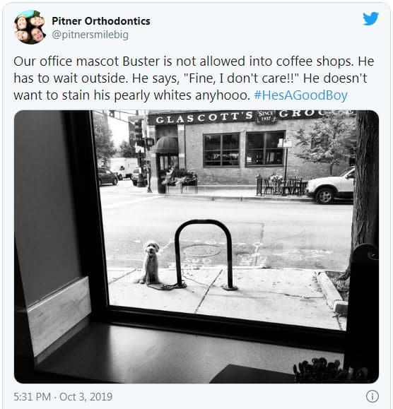 Orthodontist Near Me -- Buster The Dog Waiting Patiently Outside The Coffee Shop