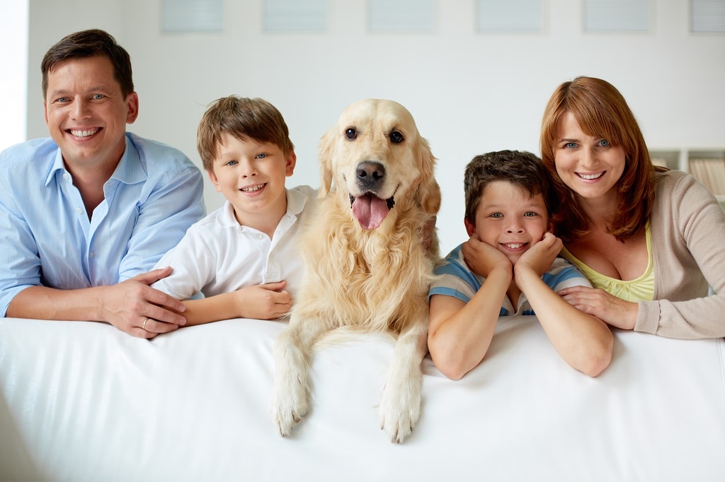 Orthodontist Elgin Sc